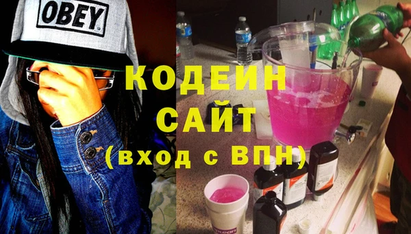 хмурый Мегион