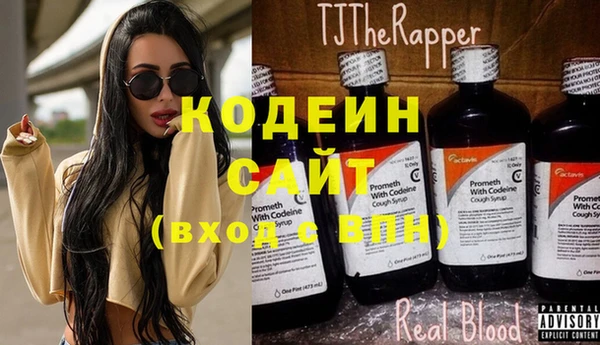 хмурый Мегион