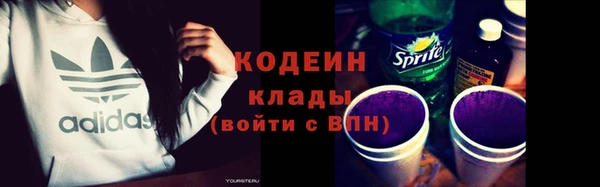 хмурый Мегион