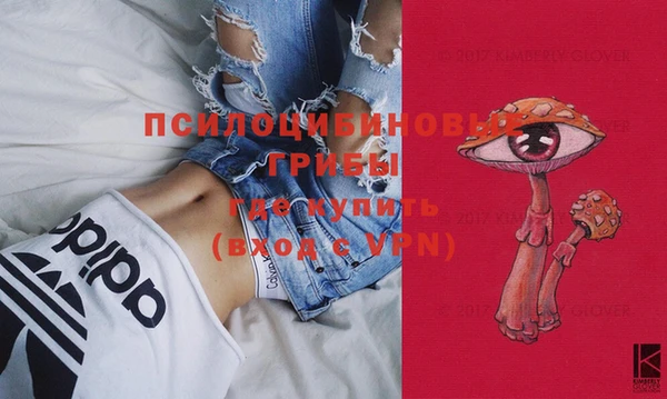 хмурый Мегион