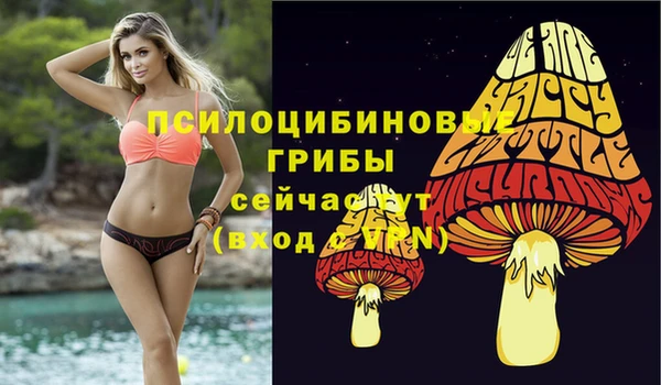 хмурый Мегион