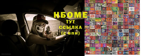 хмурый Мегион