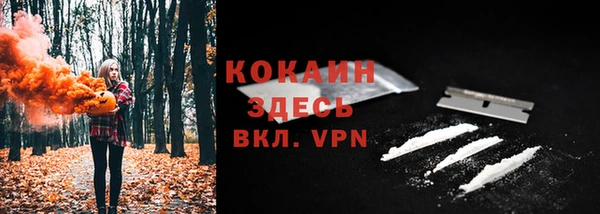 хмурый Мегион