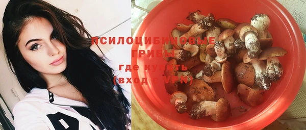 крисы Медвежьегорск