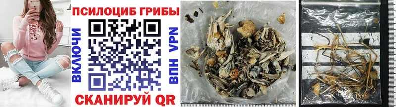 цены наркотик  блэк спрут сайт  Псилоцибиновые грибы Psilocybe  Чадан 