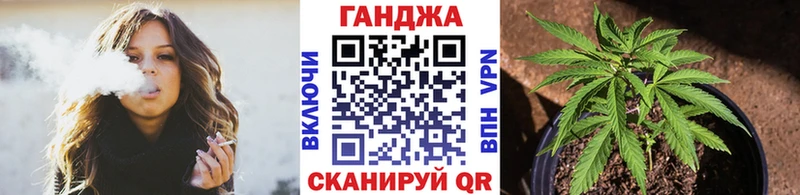 Каннабис гибрид  купить   Чадан 